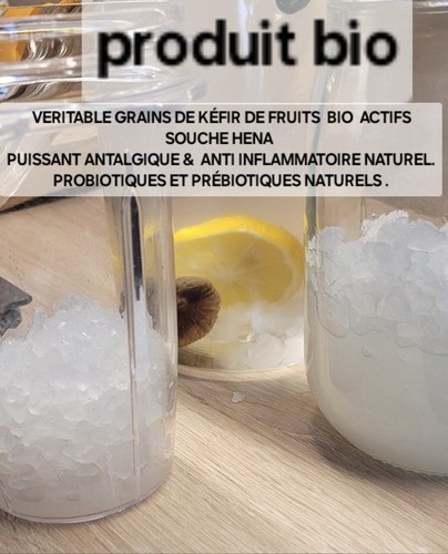 Grains kéfir de fruits - ,