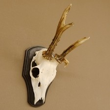 Cerf Élan Bois De Cerf