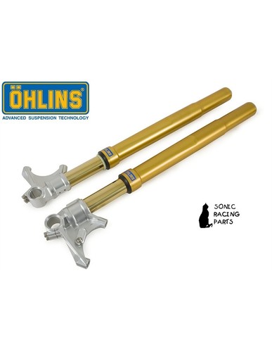 Fgrt 219 fourche ohlins - or, r&t