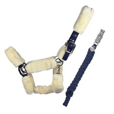 Equest Licol Comfort Pour