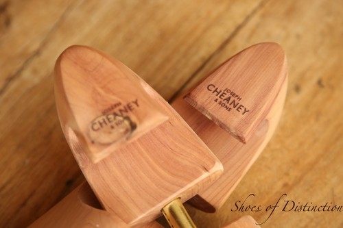 Chaussures extensibles joseph - extensibles,