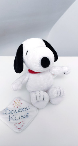 Peluche doudou chien - peluche/doudou, snoopy