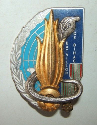 Insigne regiment - 8°,