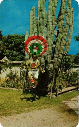 Cpm oaxaca danzante la - cpm,