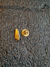 Pin's Doré gold Golden Or homme manteau nuit cape chapeau - Pin Pins Badge 11