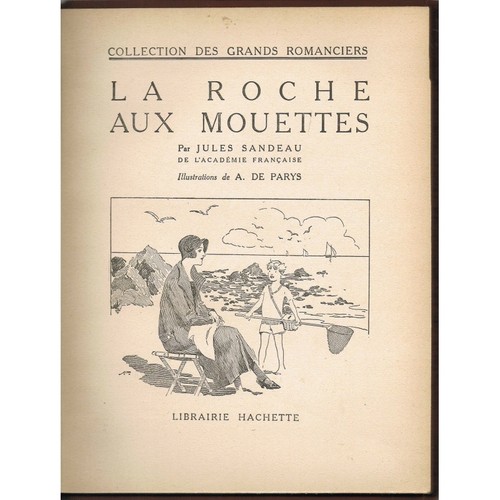 Roche aux mouettes - roche, par