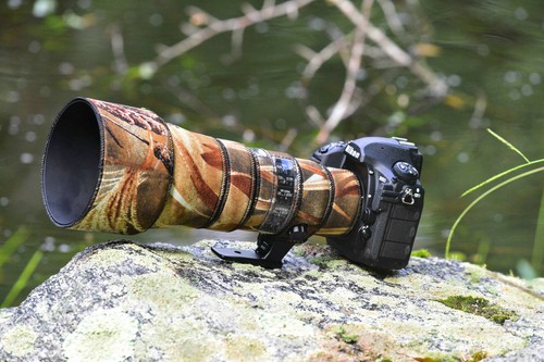 Nikon 500 afs ed - 500, pf