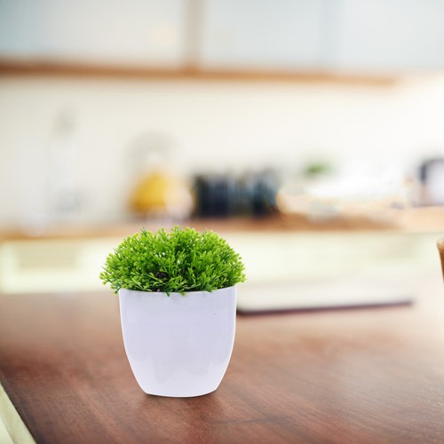 Pcs fausse plantes - fausse,