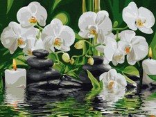 Broderie diamant sans cadre orchidées dans l'eau 30x40 mosaïque diamant 5D
