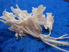 Ancien bouquet de fleurs blanches en tissu pour création chapeaux, autre..N°477