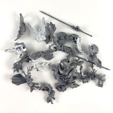 x1 Rabiot  Warhammer FB | P-00N55