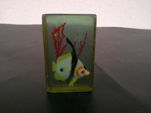 Inclusion resine poisson - resine,