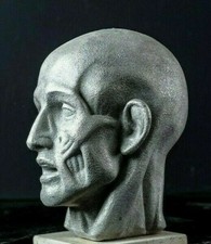  Head bust by Houdon