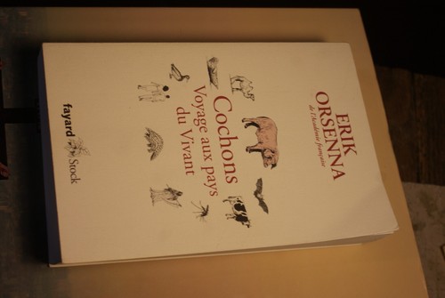 Cochons voyage aux pays - cochons.,