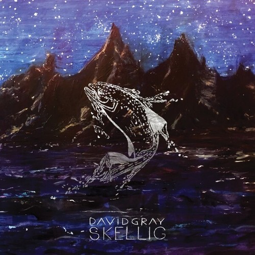 David gray skellig - gray,