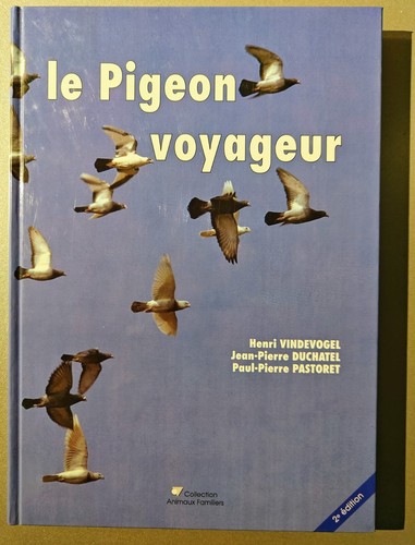 Pigeon voyageur henri - pigeon, /