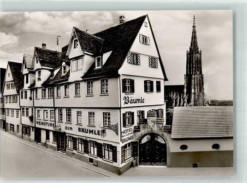 10708815 7900 ulm wine - ulm,