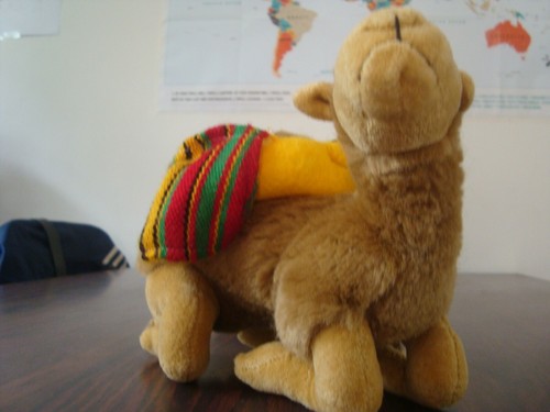 Peluche dromadaire 26cm - de,
