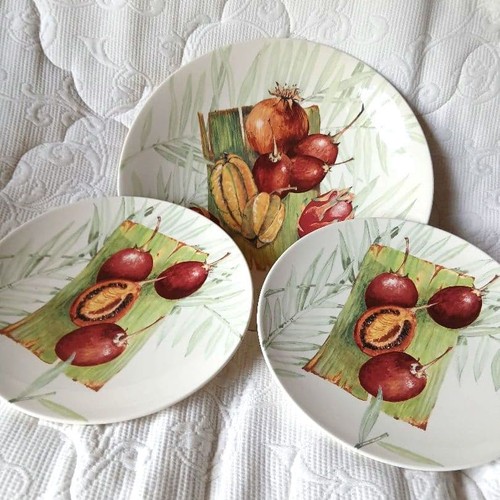 Gien assiettes grande 2 - (1, grande,