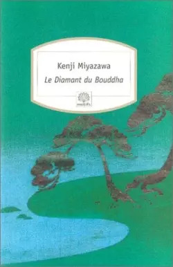 Diamant bouddha kenji - le, du