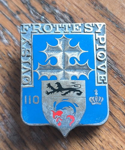 Insigne 110 régiment - 110°, ri
