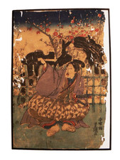 Curiosité, trois belles