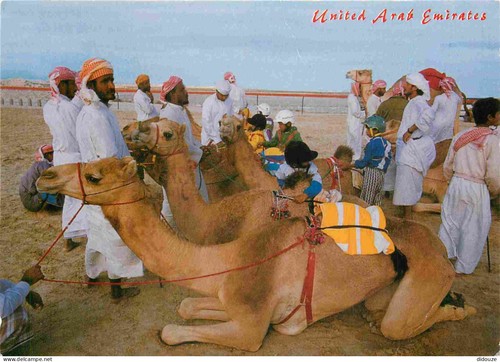 Carte postale animaux - postale,