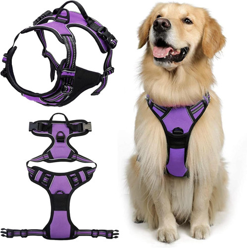 Harnais chien pull - no,