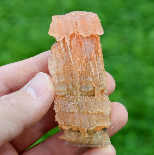 Halite sylvinite 62 grammes - halite, &