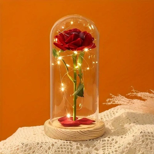 Led red rose dome - led, romantic