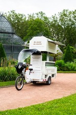 ice cream tricycle carts
