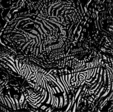 LV Sebenza (CD) Album