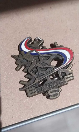 Broche trophé esf ski - broche,
