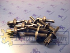 Jeu de 10 rivets 5,5 mm noirs