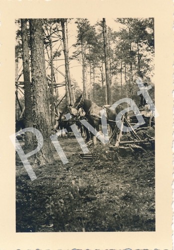 Photo ww2 soldats - soldats, wehrmacht