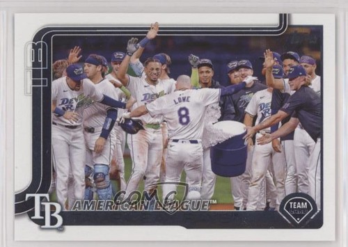 2025 topps series tampa - series,