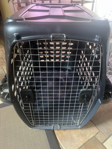 Pet mate sky kennel - pet,