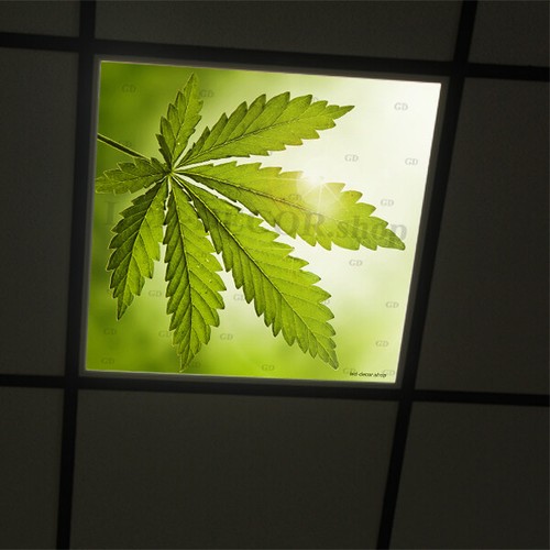 Décor cbd plexi - cbd, 6.
