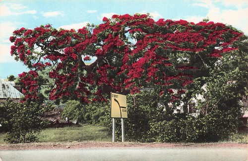 974 ile la - ile,