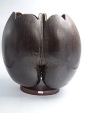 Cabinet Curiosité - COCO de