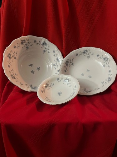 Johann haviland bavaria blue - haviland,