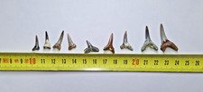Lot  9 DENTS DE REQUINS FOSSILES pour création pendentif objets de vitrine