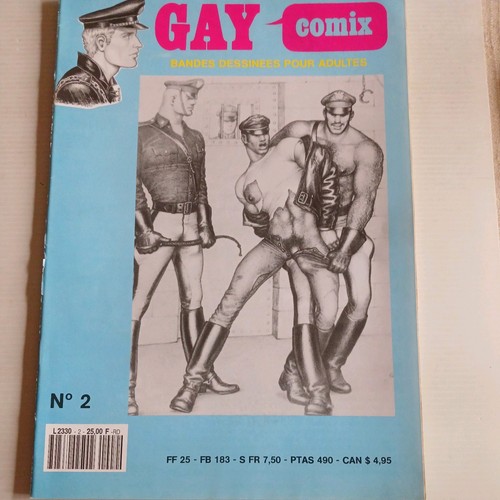 Adulte gay comix 2 - bd, n°2