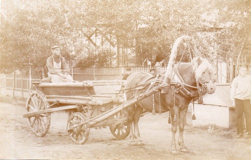 B426 photographie vintage - b426,