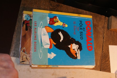 Donald pole sud - sud,