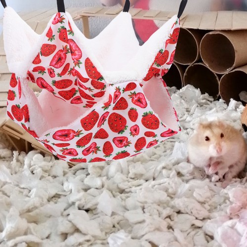 Hamster cage hamac - hamster,