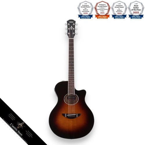 Guitare acoustique électrique