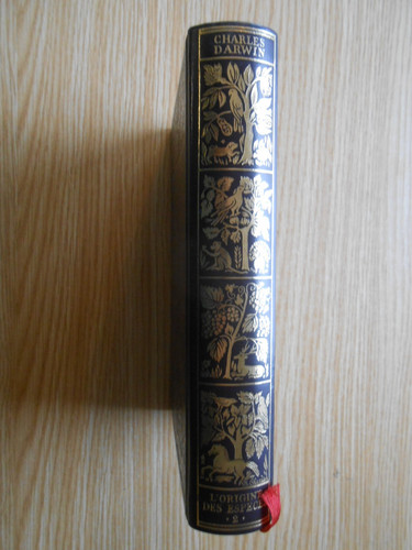 Origine des espèces charles - l'origine,