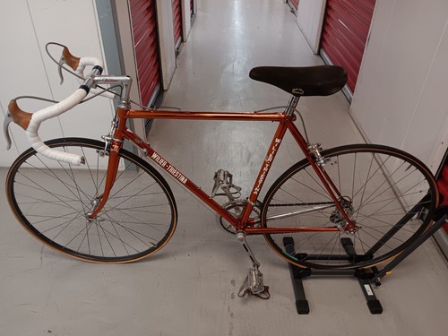 Wilier triestina - wilier,