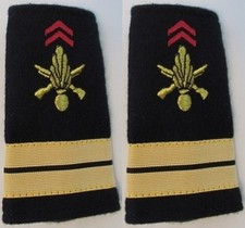 PAIRE DE FOURREAUX D'EPAULES